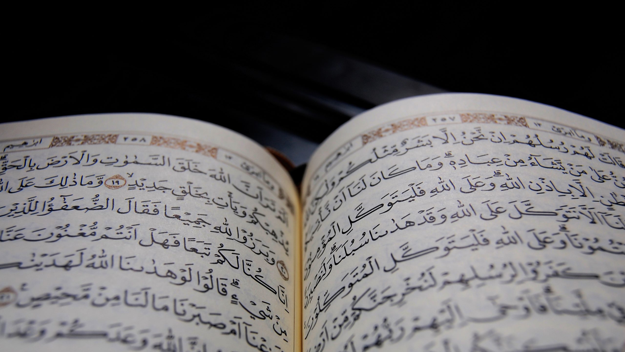 Ilustrasi - Wakaf Quran
