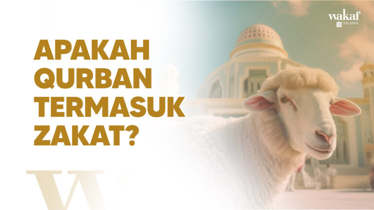 Thumbnail Artikel apakah Qurban termasuk zakat
