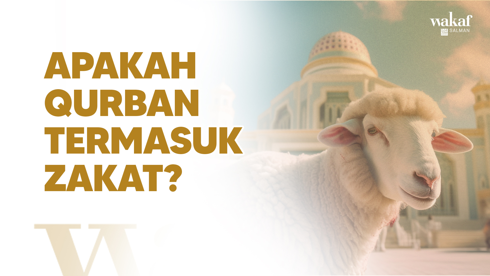 Thumbnail Artikel apakah Qurban termasuk zakat