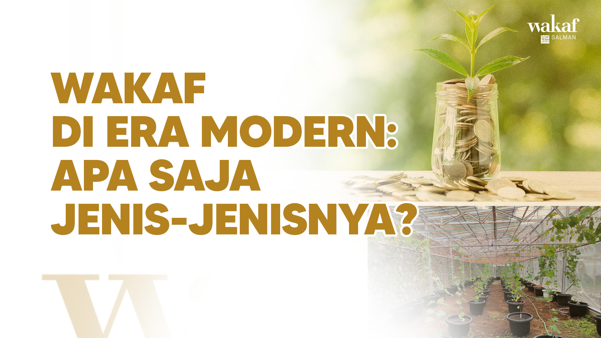 Thumbnail Artikel Wakaf di Era Modern