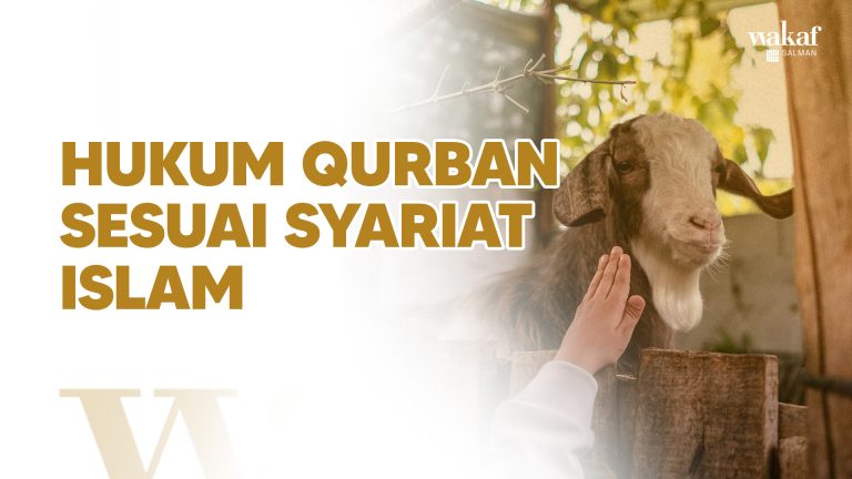 Thumbnail Artikel HUKUM QURBAN SESUAI SYARIAT ISLAM