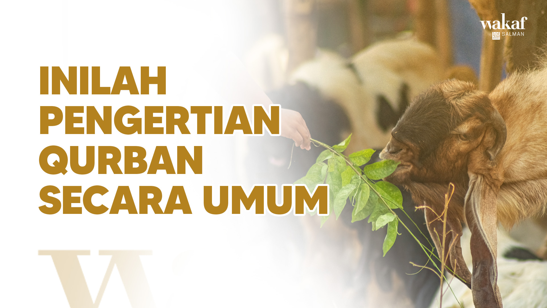 Thumbnail Artikel INILAH PENGERTIAN QURBAN SECARA UMUM