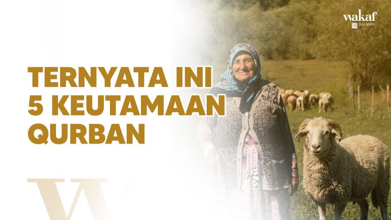Thumbnail Artikel TERNYATA INI 5 KEUTAMAAN QURBAN