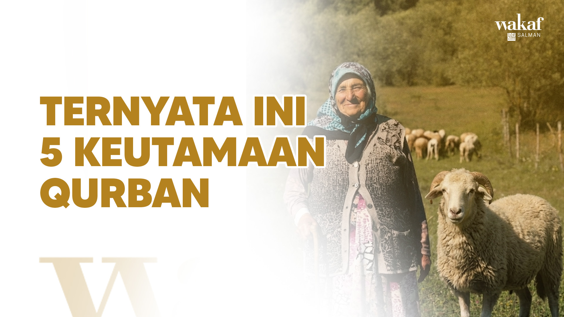 Thumbnail Artikel TERNYATA INI 5 KEUTAMAAN QURBAN