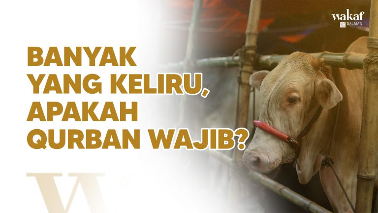 Thumbnail Artikel BANYAK YANG KELIRU, APAKAH QURBAN WAJIB