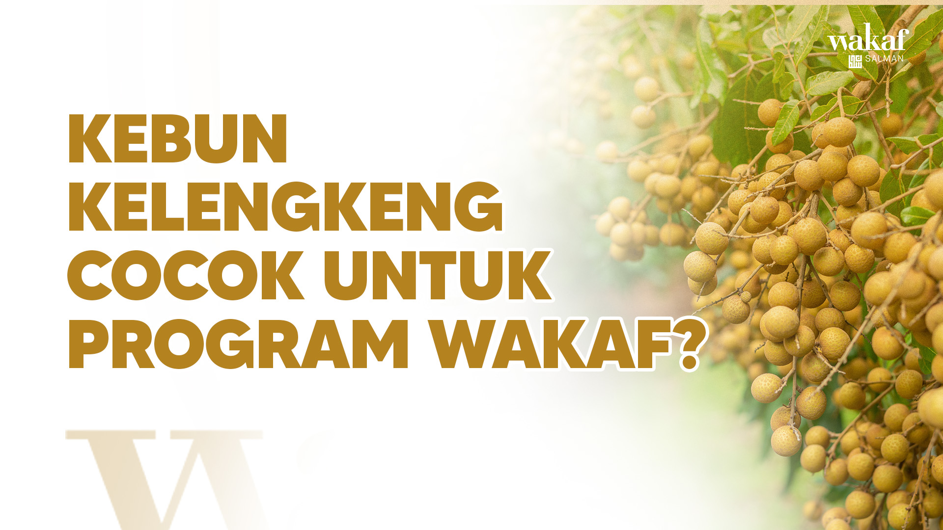 Kebun Kelengkeng