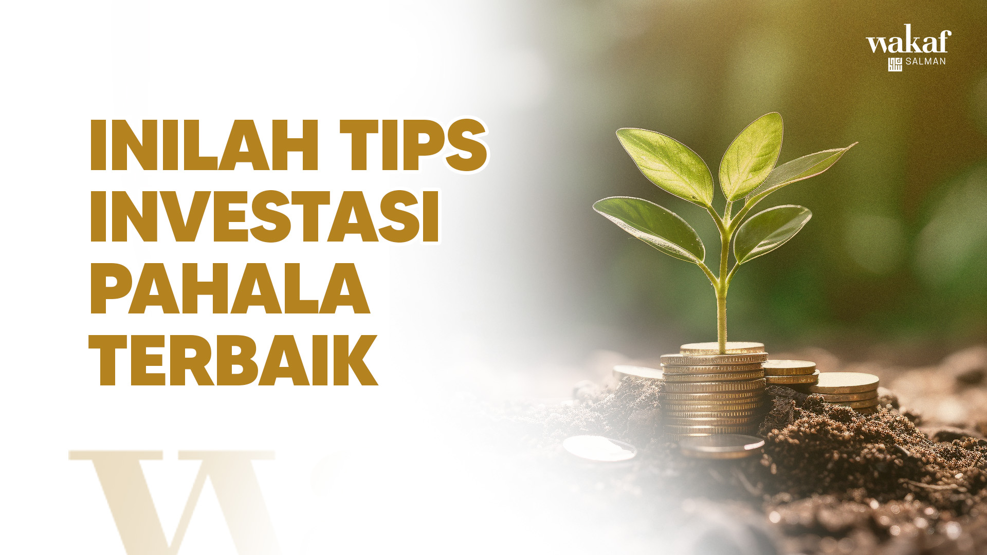 Thumbnail Artikel INILAH TIPS INVESTASI PAHALA TERBAIK
