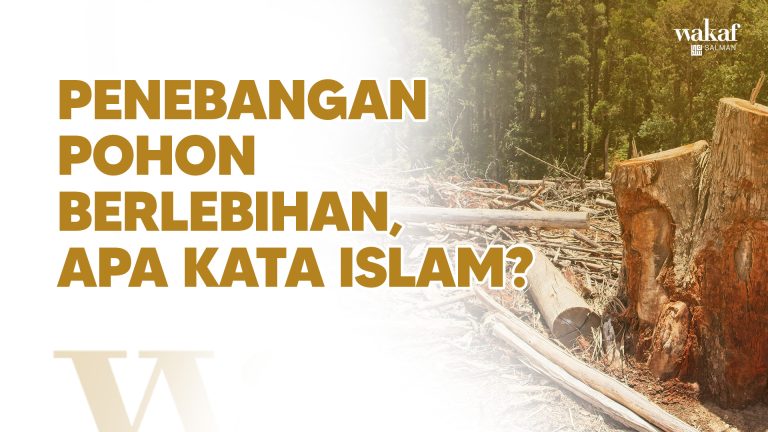 Thumbnail Artikel PENEBANGAN POHON BERLEBIHAN